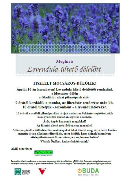 levendulaultetes2011aprilis.jpg